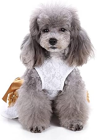 שמלת כלבים של Lifewheel לכלבים בינוניים קטנים בנות בנות גורים שמלות נסיכה לבנות עם קשת ועיצוב פרל תלבושת