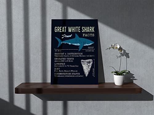 BXFAHZJ אוקיינוס ​​חיה מעולה כריש לבן עובדות קיר אמנות קיר קנבס בית כריש נושא 11x14 אינץ 'הדפסים תפאורה לחדר
