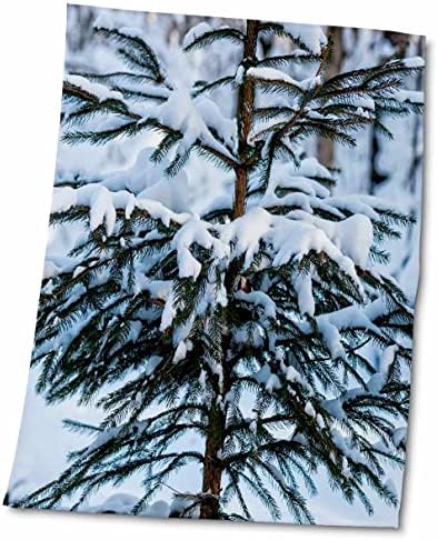 3 דרוז עץ אשוח אלגנטי יפהפה מכוסה שלג בחורף - מגבות