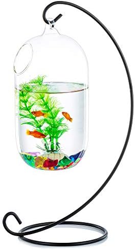 זכוכית שולחן תלייה קערה דגים טנק בטא מיכל עם דגי דגים אקווריום אגרטל יצירתי לשולחן הגן הביתי בטטה דג טחב