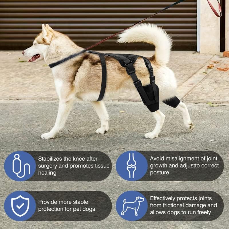 חואנוואן כלב סד ברך סד כלב ברגלי רגל - ברך כלב מחניק רצועות גלישת רצועות מתכווננות סד ברך כלב
