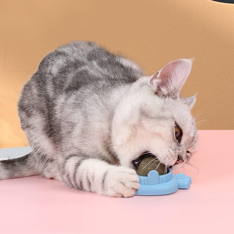 סיבוב כדורי חתול מסתובבים חטיפים לחתול צעצוע חטיפים קיר ללקק צעצועים לחתולים אינטראקטיביים צעצועים לבית צעצוע