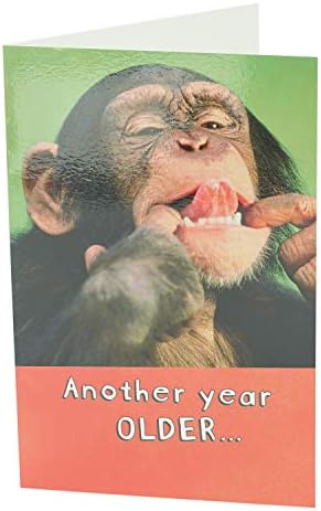 ברכות בבריטניה כרטיס יום הולדת מצחיק - כרטיס יום הולדת של קוף - כרטיס מצחיק בשבילו - כרטיס מצחיק