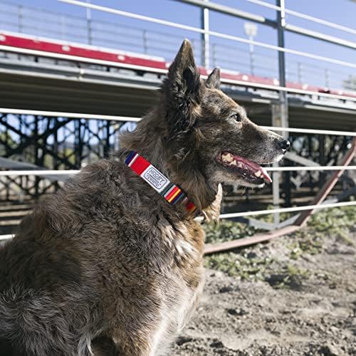 צווארון כלבים נוודים של נווד, צווארון רשת פוליאסטר עמיד עם הדפסים בהשראת גרפיקה, סרפ טיג'ואנה, בינוני