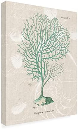 סימן מסחרי אמנות 'Gorgonia Granulata על קצף פשתן קצף' אמנות בד מאת תיק תפוחים פראי