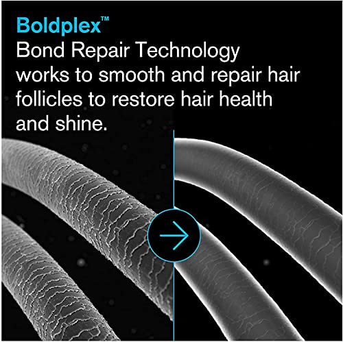 מודגש יוניק בולדפלקס 4 בונד חיזוק חלבון שמפו עבור יבש פגום שיער-לחות נוסחה עבור מתולתל, יבש, צבעוני,