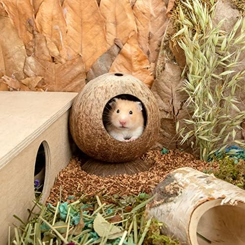 אנדנו קוקוס צריף אוגר בית מיטת עבור גרבילים עכברים קטן בעלי החיים כלוב בית גידול דקור
