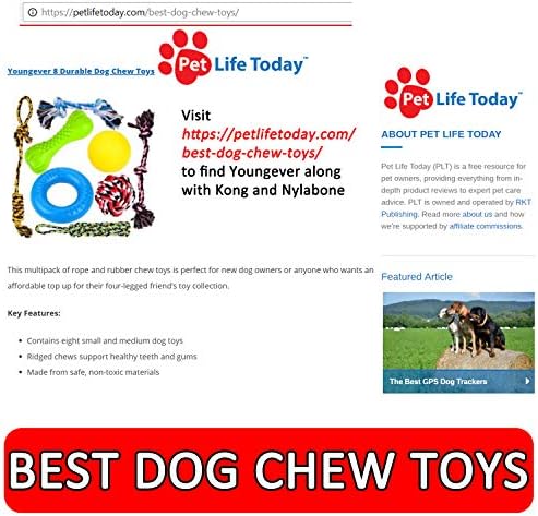 צעיר 8 צעצועים לעיסה של כלבים עמידים, צעצועי גורים, חבילת ערך צעצועי חבל כלבים, צעצועי בקיעת שיניים לכלבים קטנים