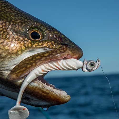 סדרת העילית של דיג נורת'לנד מחקה את ג'יג שחייה לדיג בס וואלי, גדלים וצבעים שונים