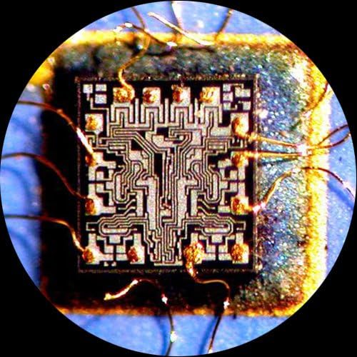 AMSCOPE-3.5X-180X סימול-פוק-פוק-פוקלי מיקרוסקופ זום על עמדת בום זרוע כפולה + אור טבעת 144 מונה