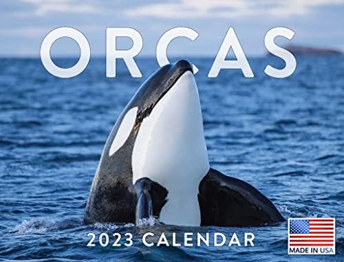 לוח השנה של אורקה 2023 יומנים תלויים בקיר חודשי רוצח לוויתן לוויתן אוקיינוס ​​חיה דגים מתכנן גדול 24
