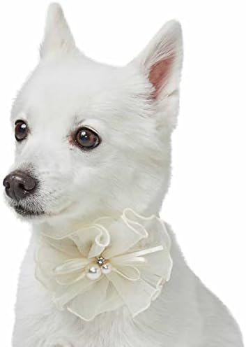 אוכמניות מחמד כלב כבוד צווארון לחתונה, X-Small, שחרור אלסטי שחרור מהיר צווארון כלב צווארון עם פרח