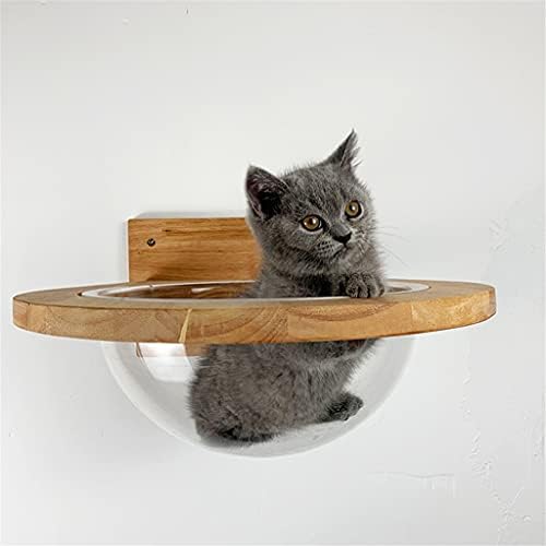 קיר רכוב שקוף קפסולת חלל חתולי קיר בית חתולי עץ עץ חתולי טיפוס מסגרת חתלתול מיטת מקפצה לחיות מחמד