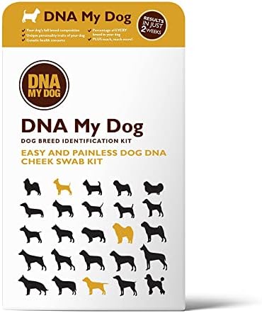 ד. נ. א. ערכת בדיקות גנטיות לכלב שלי-זיהוי גזע מעורב, תכונות אישיות-לגורים לכלבים בוגרים, ספוגית