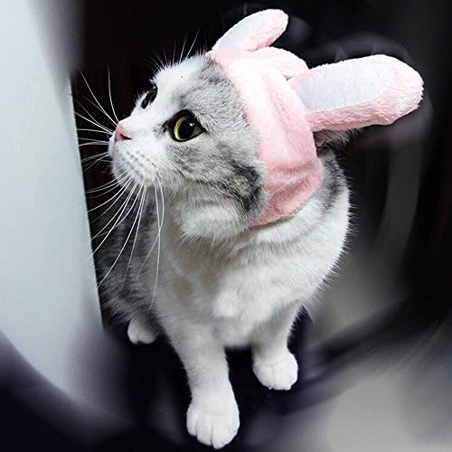 כובע ארנב ארנב של Bro'bear Buny עם אוזניים לחתולים וכלבים קטנים מסיבת תלבושות.