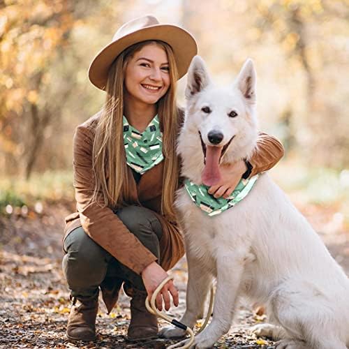 כלב בנדנה - 2 חבילות חיית מחמד אידיאלית, צעיף צוואר יומי של צוואר לחתולי כלבים קטנים עד גדולים, חבילת מתנה ירוקה