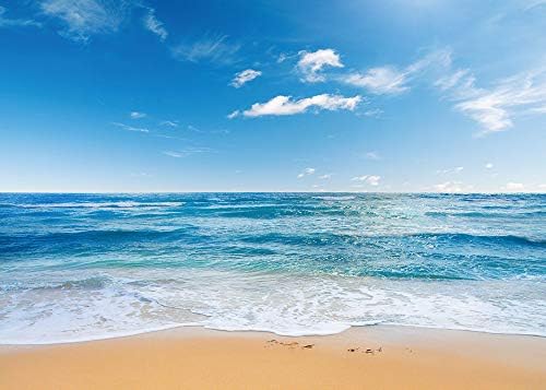 קיץ הוואי ים חוף צילום תפאורות כחול שמיים אוקיינוס תא צילום מסיבת חתונת קישוט רקע יום הולדת באנר סטודיו אבזרי