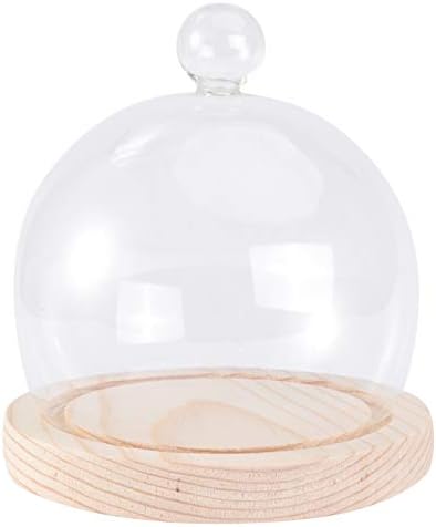 AMOSFUN תצוגת זכוכית ברורה כיפה קוש צנצנת פעמון עגול עם בסיס עץ כפרי עץ דקורטיבי מרכזי שולחן