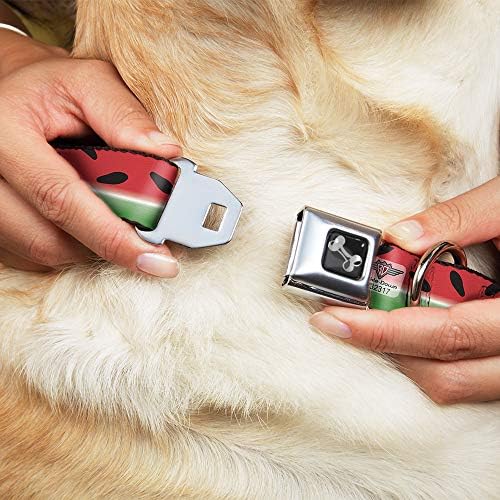 צווארון כלב צווארון בטיחות אבזם פס אבטיח אדום ירוק שחור 16 עד 23 אינץ 'ברוחב 1.5 אינץ'